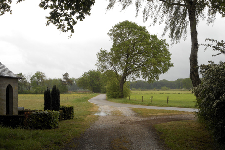 Regen