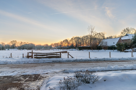 Goedemorgen 11 januari