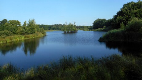 Een ven in Brabant