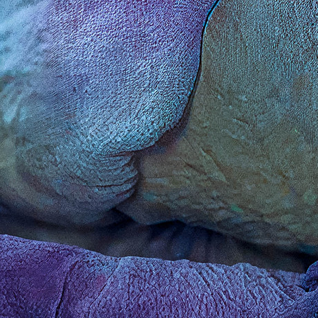 Infrarood fotografie