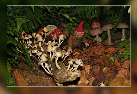 wisten jullie.....................