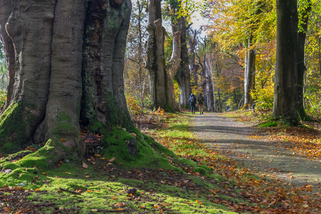 Italiaanseweg (herfst)