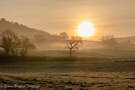 zonsopkomst in de Morvan met een nog frisse ochtendnevel