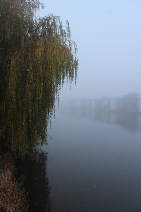 Wat er achter het water schuilt