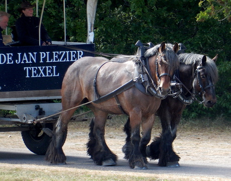 Paardenkracht,,,