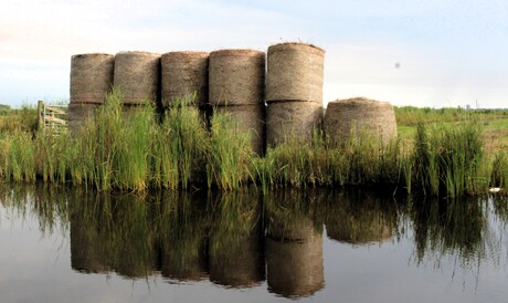 Stichting Landschap Noord_holland