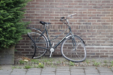 Fiets