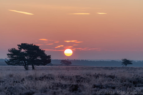 Sunrise at Dutch Serengeti