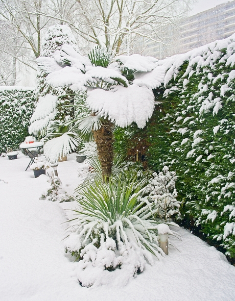 mediteraan ontmoet sneeuw