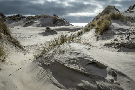 Struinen door de duinen...