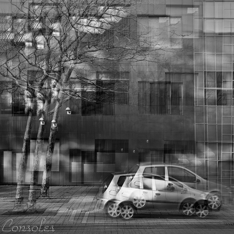 Movement in black and white