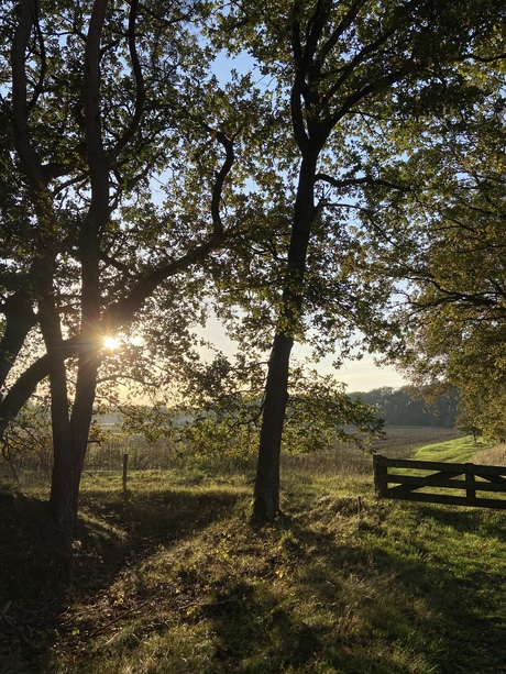 Ondergaande zon