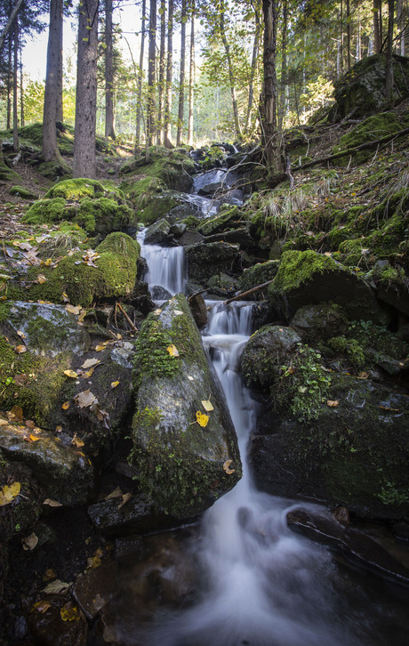 Natuurschoon