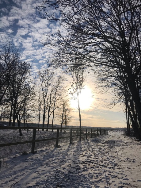 Winters boeren landschap Zevenhuizen