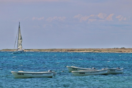 Adriatische kust