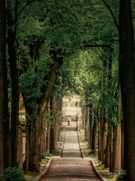 La question du chemin