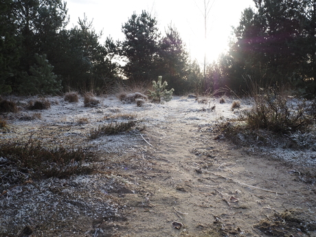 winter landschap