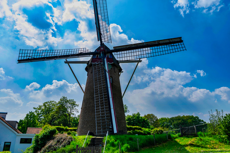 Molen