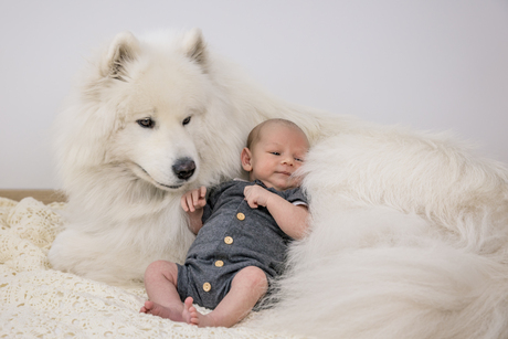 vrienden voor het leven