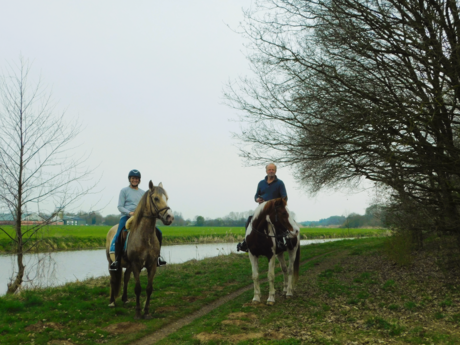 Paardensport in 't Raamdal