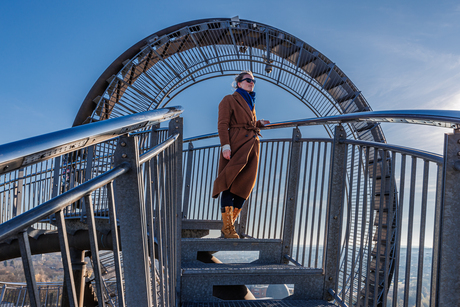 Tiger & Turtle