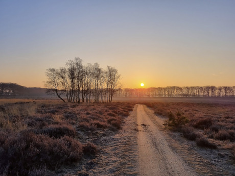 zonsopkomst
