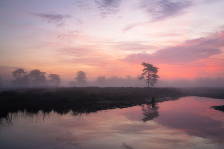 Foggy Sunrise