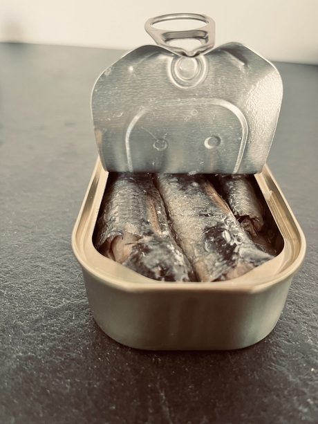 Sardientjes 
