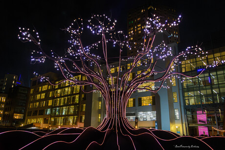 Glowing Tree