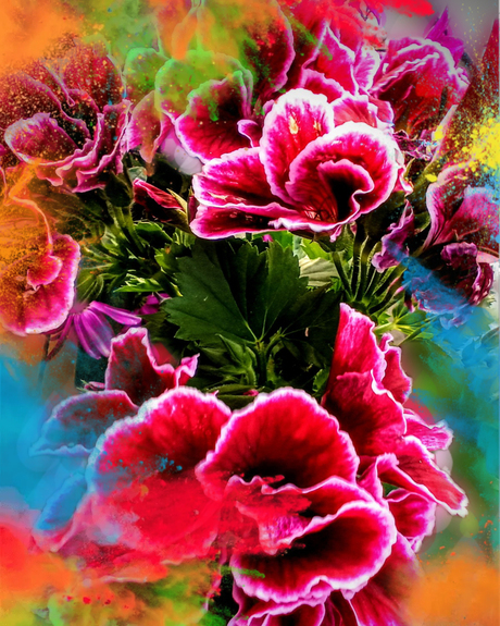 Spring Delight