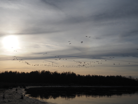 Winter Landschap