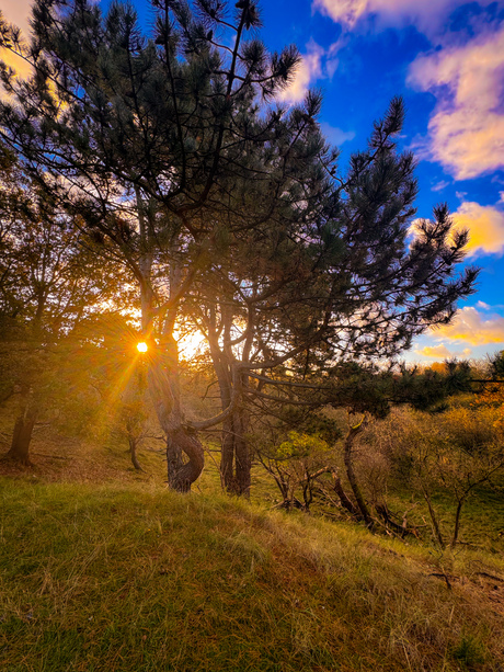 De stralen van de herfstzon