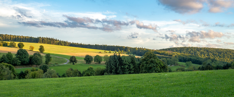 Boerenlandschap in Teutoburger Wald