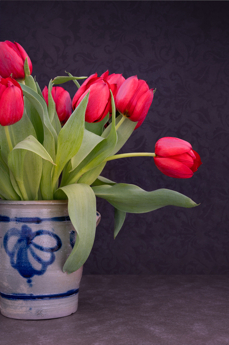 Rode tulpen in Keulse pot