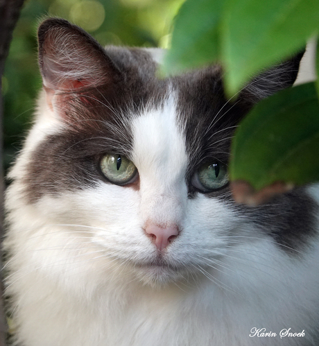 "Just being cute..."