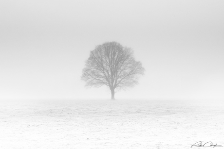 Minimalisme