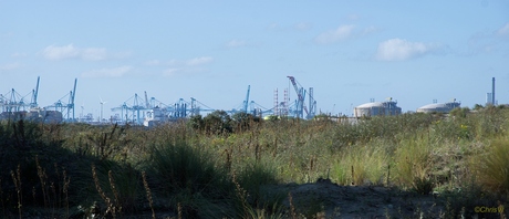 Achter de duinen