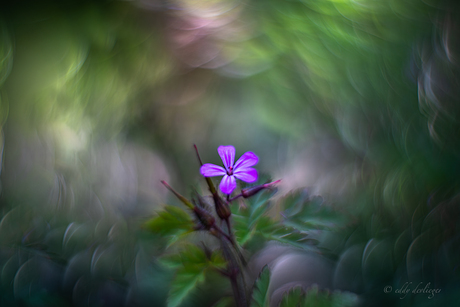 Another world