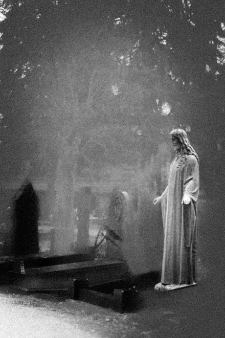 surrealisme of realiteit