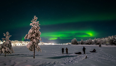 Noorderlicht in Salla (Fins Lapland)