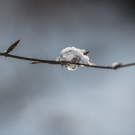winter in Heumensoord