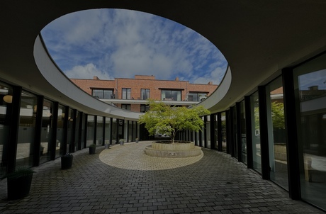 Zon geeft sfeer op het pleintje met boom