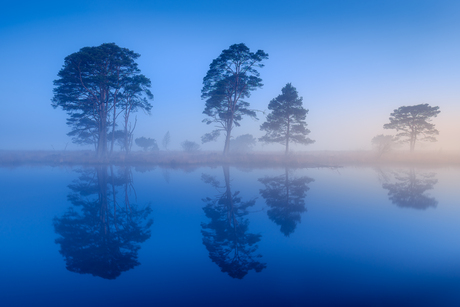 Blauw moment.