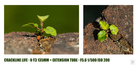 Summer School - week 1 - Macro
