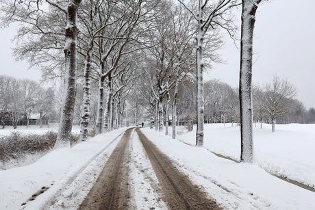 Eenzaam in winterlanschap