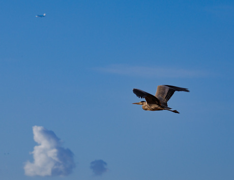 reiger & klm