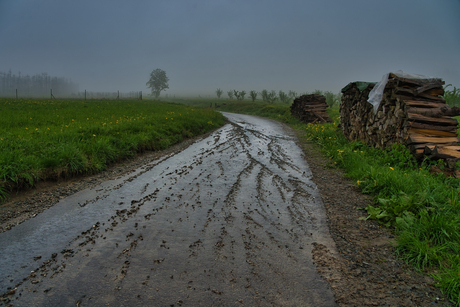 Regenachtig