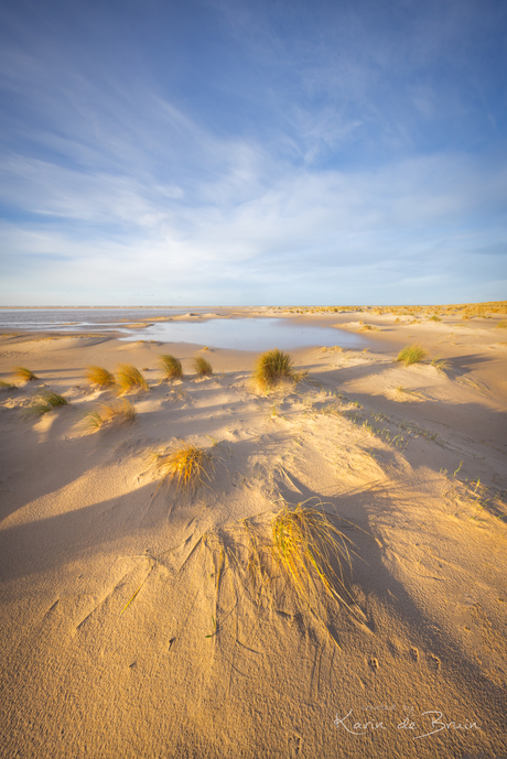 Winter Dunes!