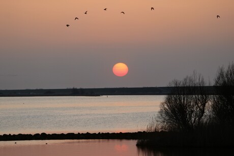 Zonsondergang.Lauwersmeer