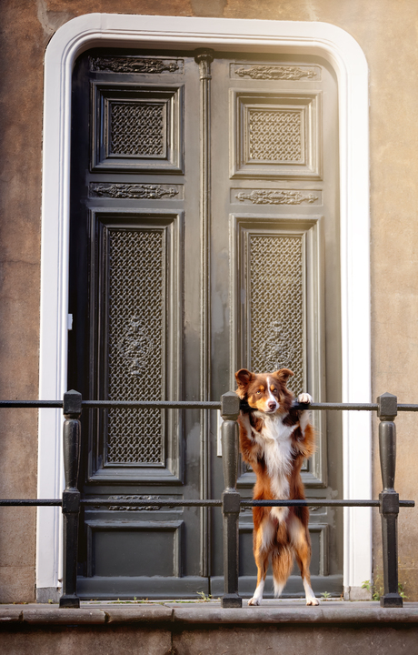 Waiting for the boss